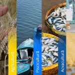 Granturi nerambursabile de până la 120.000 EUR AGRICULTURĂ