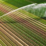 Irrigation