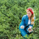 NAȚIONAL - Investiții în sectorul legume și/sau cartofi