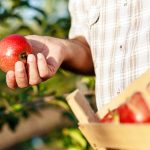 NAȚIONAL - Investiții în exploatații pomicole