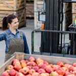 NAȚIONAL - Investiții în condiționarea, depozitarea și procesarea produselor agricole și pomicole