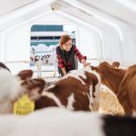 NAȚIONAL - Investiții în fermele de mici dimensiuni