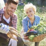 Sprijin pentru instalarea tinerilor fermieri