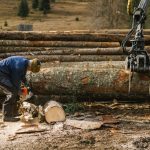 investitii tehnologii forestiere